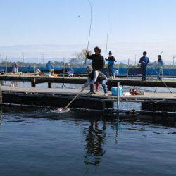 松名瀬フィッシングパーク 釣果