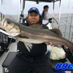 オーシャンマスター 釣果