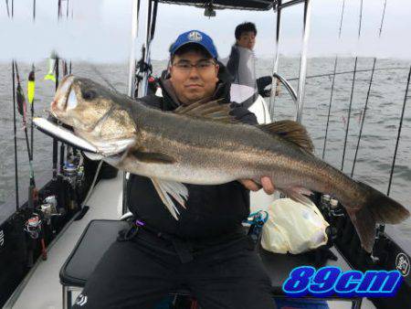 オーシャンマスター 釣果