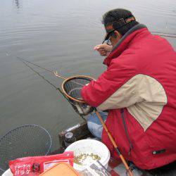 吉羽園 釣果