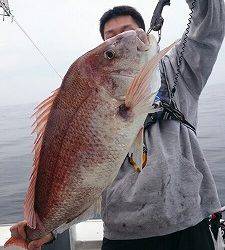 海龍丸(福岡) 釣果