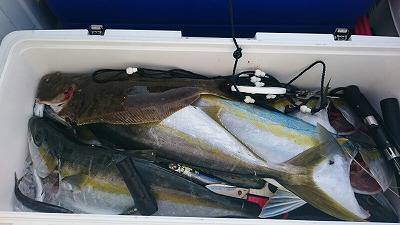 海龍丸(福岡) 釣果