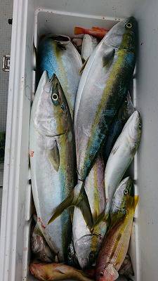 海龍丸(福岡) 釣果