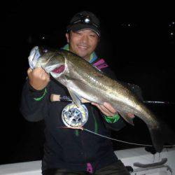 ルアー船マヒマヒ 釣果