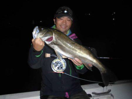 ルアー船マヒマヒ 釣果