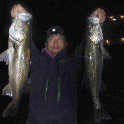 ルアー船マヒマヒ 釣果