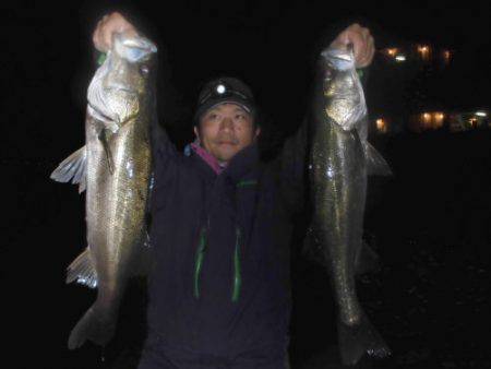 ルアー船マヒマヒ 釣果