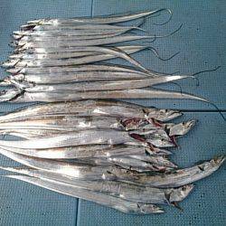 第二常豊丸 釣果