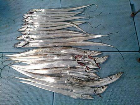 第二常豊丸 釣果