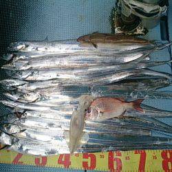 第二常豊丸 釣果