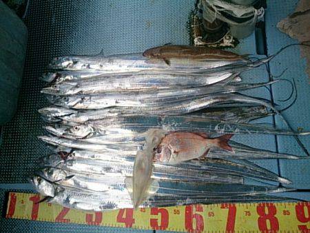 第二常豊丸 釣果