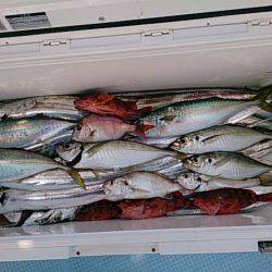 第二常豊丸 釣果