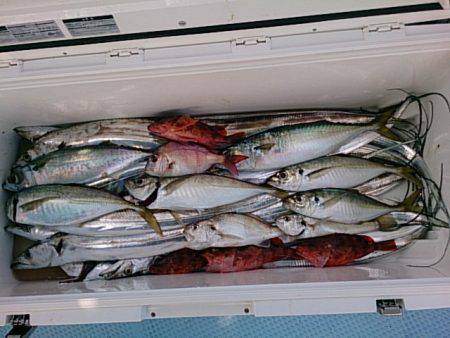 第二常豊丸 釣果