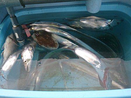 第二常豊丸 釣果