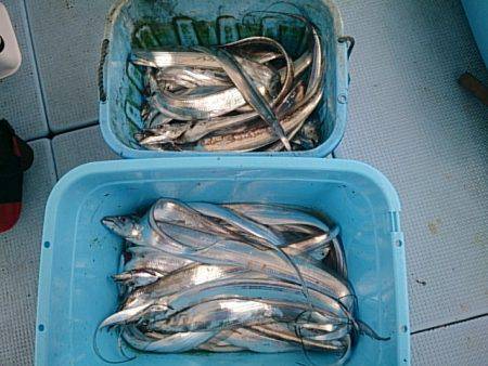 第二常豊丸 釣果