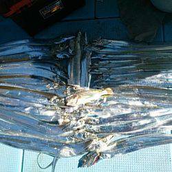 第二常豊丸 釣果