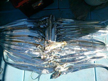 第二常豊丸 釣果