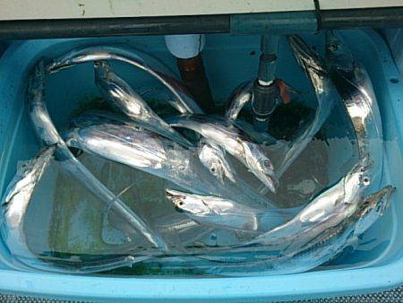 第二常豊丸 釣果