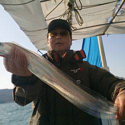 第二常豊丸 釣果