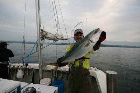 オーシャンズ　京都 釣果