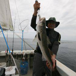 オーシャンズ　京都 釣果