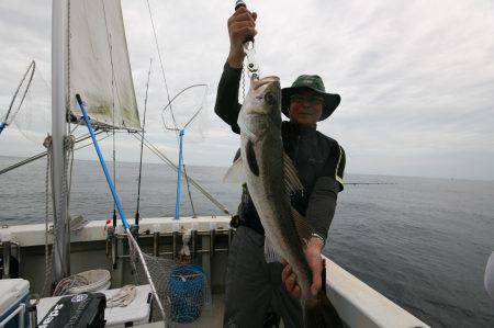 オーシャンズ　京都 釣果