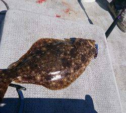 IDATEN（イダテン） 釣果