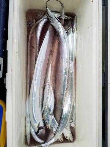 遊漁船　ニライカナイ 釣果