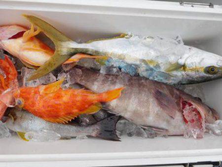 第二一之紀丸（ダイニイチノキマル） 釣果