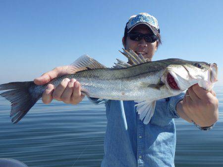 TOPGUN衣浦 釣果