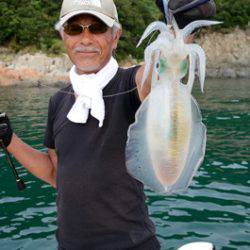 Marine T Design マリンティーデザイン 釣果