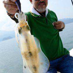 Marine T Design マリンティーデザイン 釣果