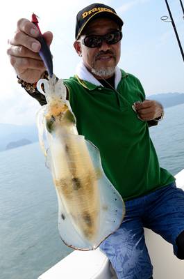 Marine T Design マリンティーデザイン 釣果