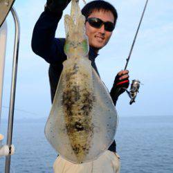 Marine T Design マリンティーデザイン 釣果