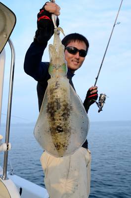 Marine T Design　マリンティ…