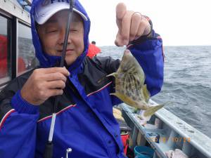 石川丸 釣果