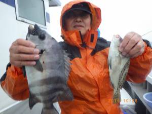 石川丸 釣果