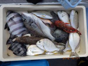石川丸 釣果