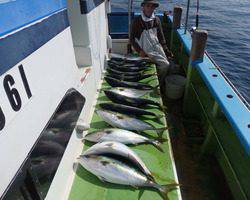 久里浜黒川本家 釣果