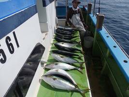 久里浜黒川本家 釣果