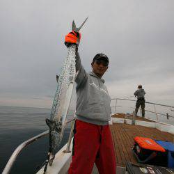 オーシャンズ　京都 釣果