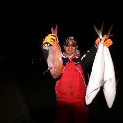 オーシャンズ　京都 釣果