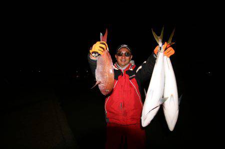 オーシャンズ　京都 釣果