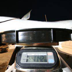 オーシャンズ　京都 釣果