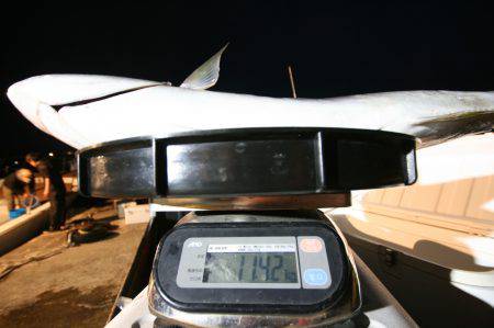 オーシャンズ　京都 釣果