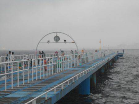 オリジナルメーカー海づり公園(市原市海づり施設) 釣果