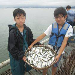 尼崎市立魚つり公園 釣果