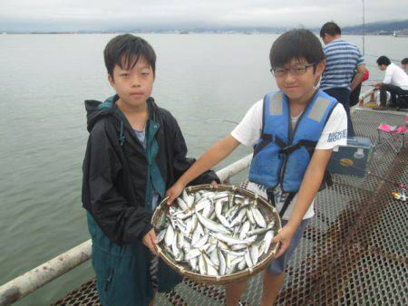 尼崎市立魚つり公園 釣果