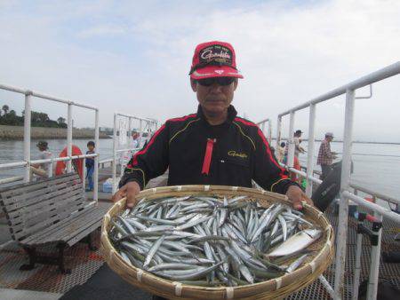 尼崎市立魚つり公園 釣果