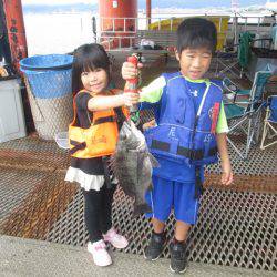 尼崎市立魚つり公園 釣果